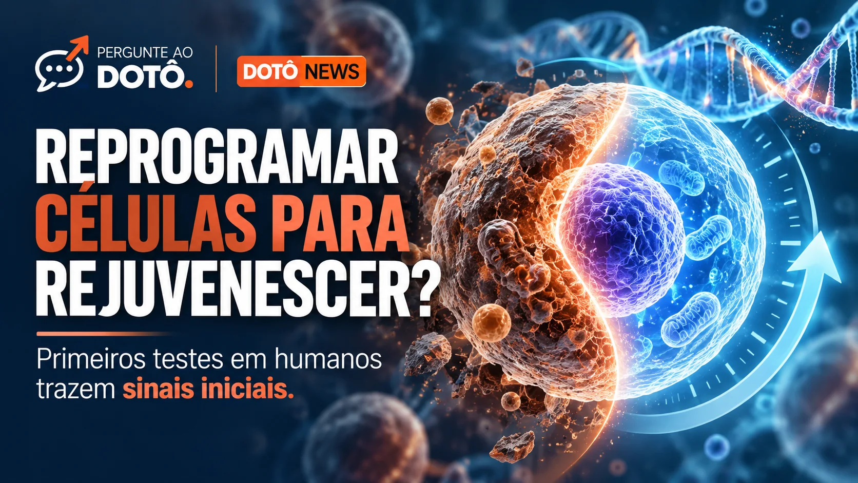 Arte Dotô News: ilustração de uma célula dividida entre aspecto envelhecido e renovado, com o título "Reprogramar células para rejuvenescer? Primeiros testes em humanos trazem sinais iniciais."